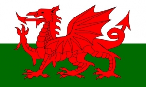 Wales Diplomarbeit